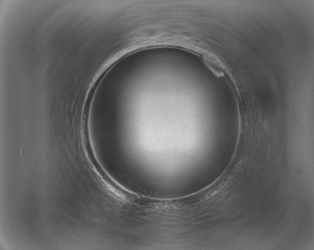 X0000052551525200507081556