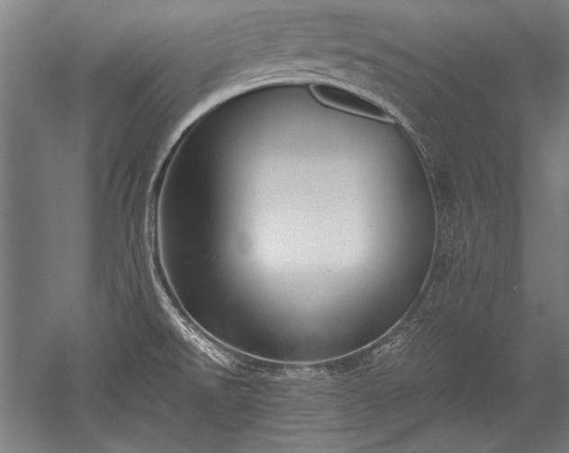 X0000052551526200507081556