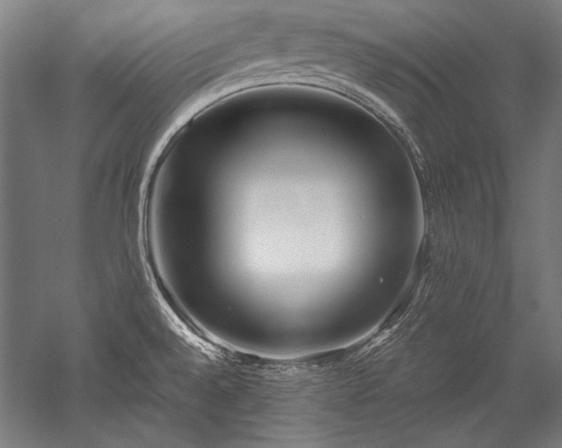 X0000052551528200507081556