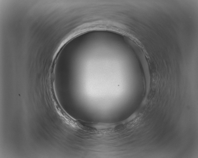 X0000052551530200507081556