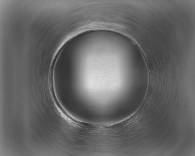 X0000052551531200507081556