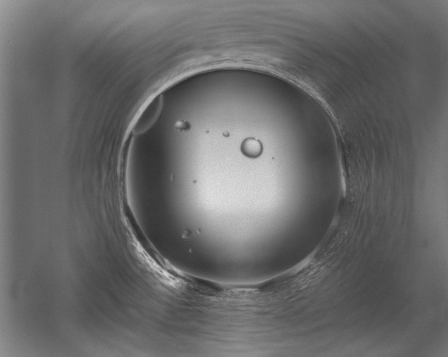 X0000052551532200507081556