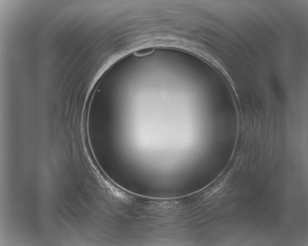 X0000052551533200507081556