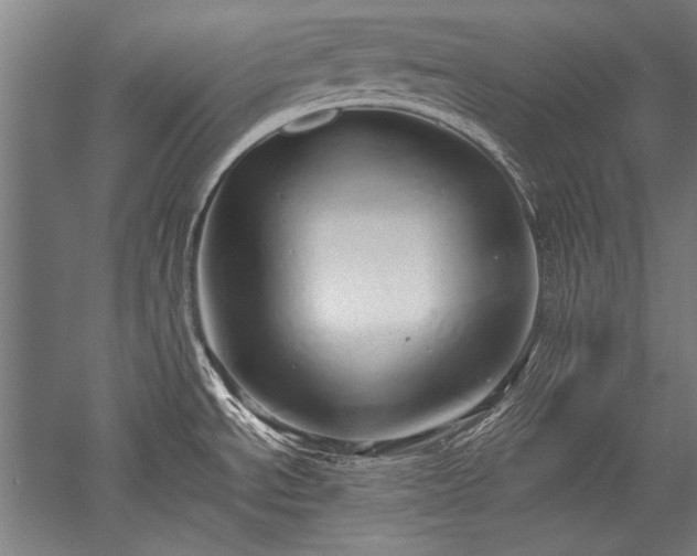 X0000052551534200507081556