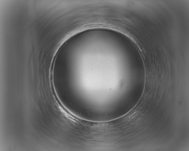 X0000052551535200507081556