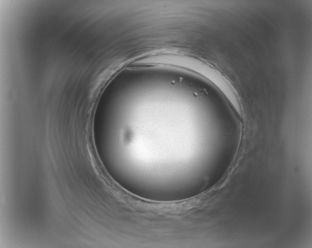 X0000052550001200507152212