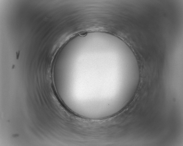 X0000052550002200507152212