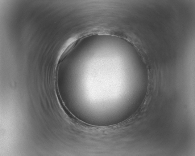 X0000052550003200507152212