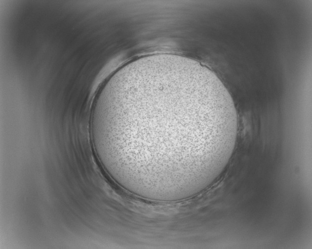 X0000052550004200507152212