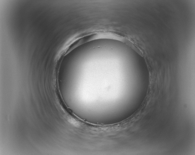 X0000052550005200507152212