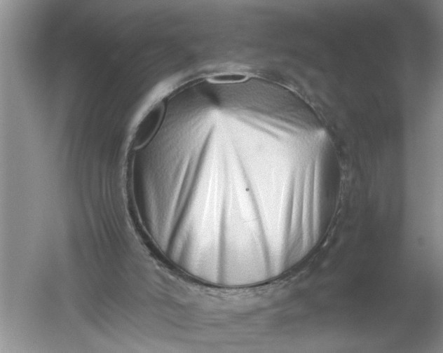 X0000052550006200507152212