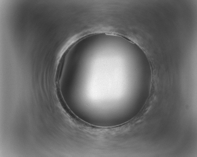 X0000052550007200507152212