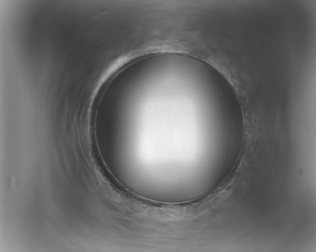 X0000052550008200507152212