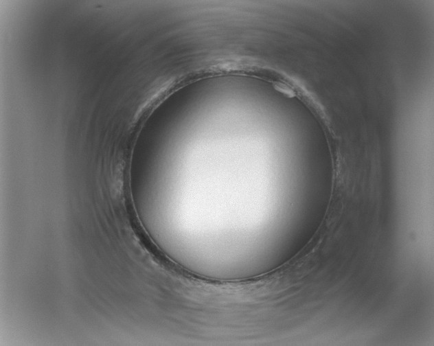 X0000052550010200507152212