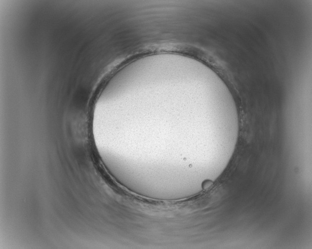 X0000052550012200507152212