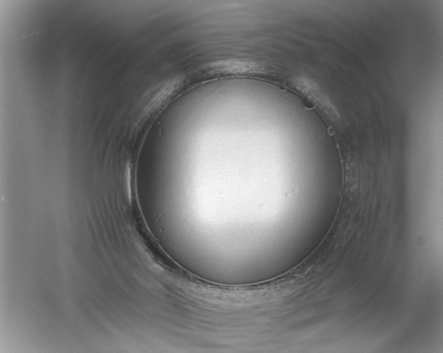 X0000052550014200507152212