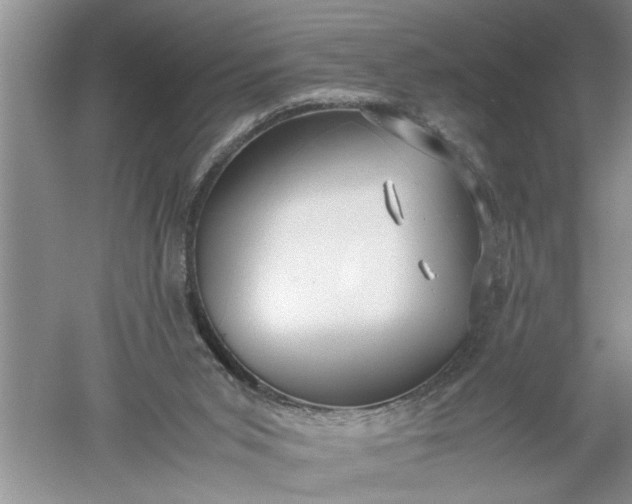 X0000052550015200507152212