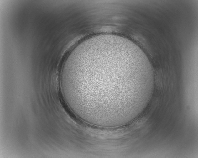 X0000052550016200507152212