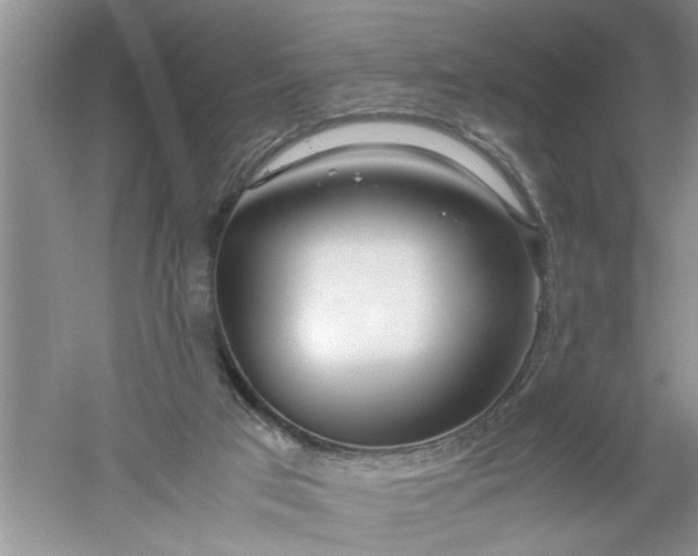 X0000052550017200507152211