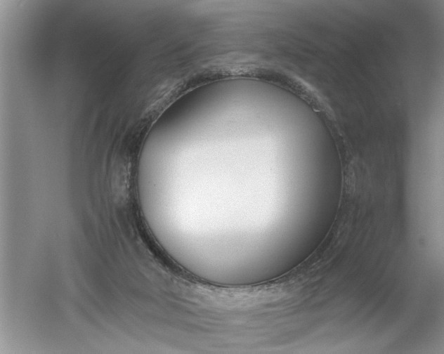 X0000052550018200507152211