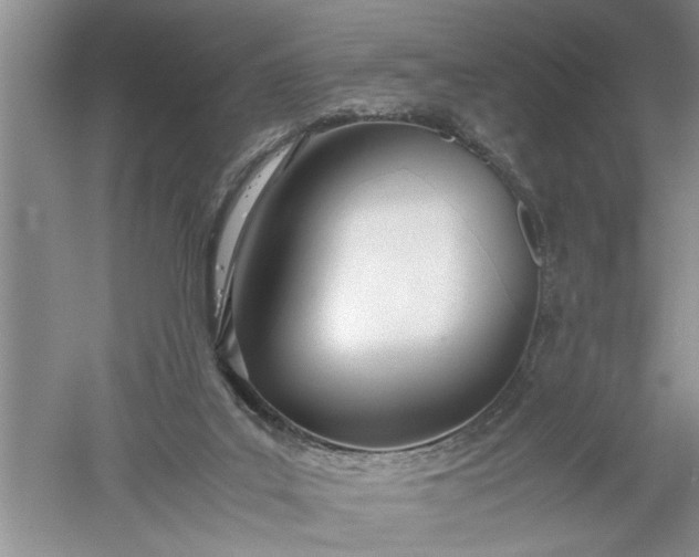 X0000052550019200507152211