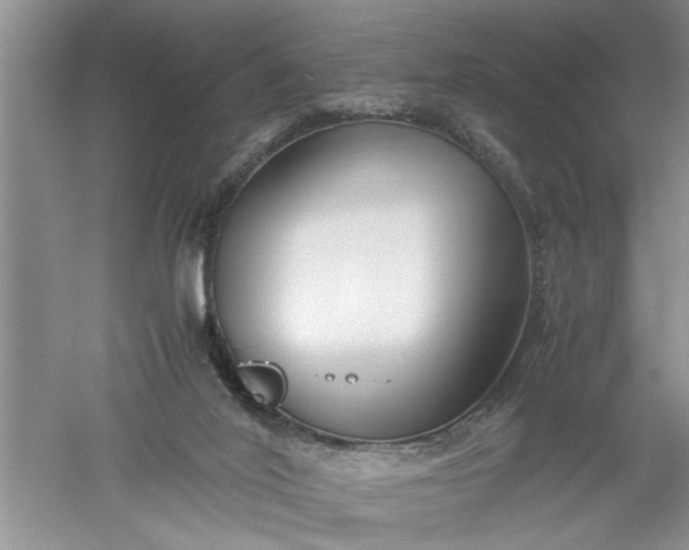 X0000052550020200507152211