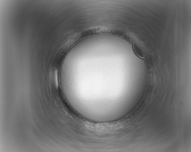 X0000052550022200507152211