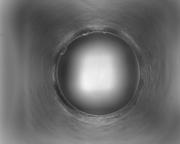 X0000052550023200507152211