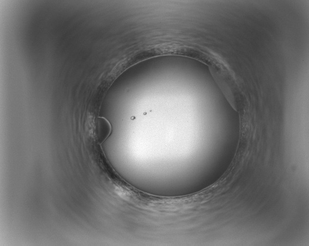 X0000052550025200507152211