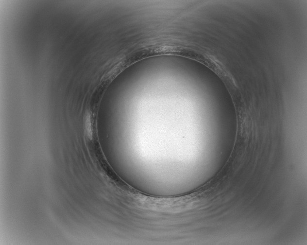 X0000052550026200507152211