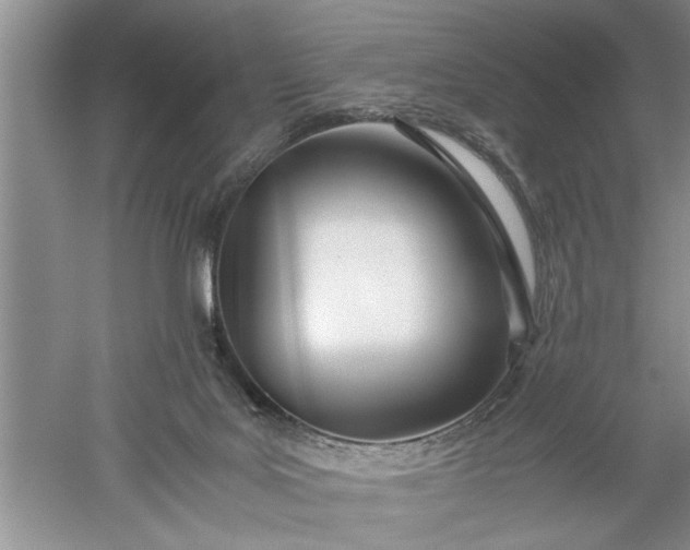 X0000052550027200507152211