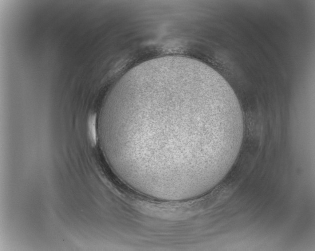 X0000052550028200507152211