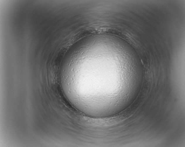 X0000052550030200507152211