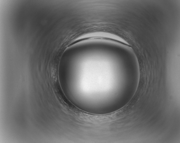 X0000052550031200507152211