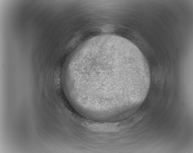 X0000052550032200507152211