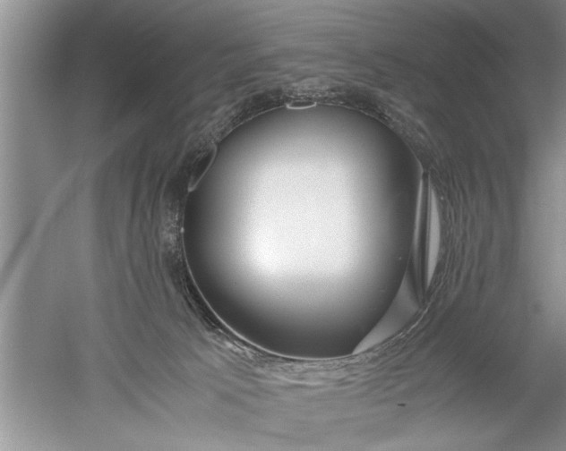 X0000052550033200507152211