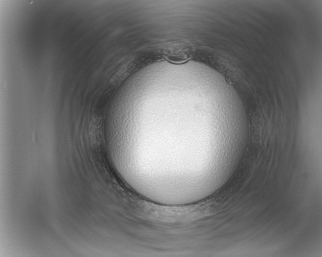 X0000052550034200507152211