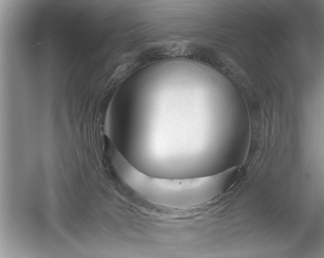 X0000052550035200507152211