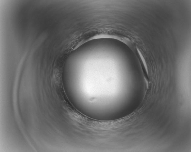 X0000052550037200507152211