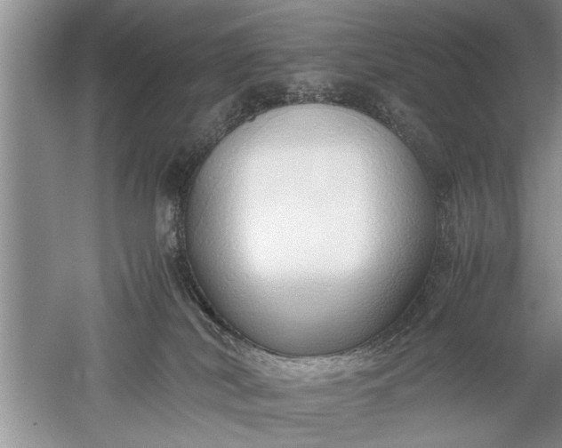 X0000052550038200507152211