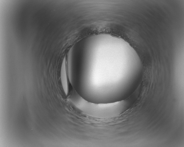 X0000052550039200507152211