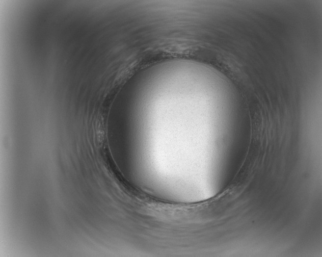 X0000052550040200507152211