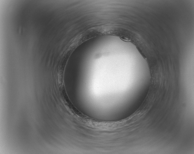 X0000052550044200507152211