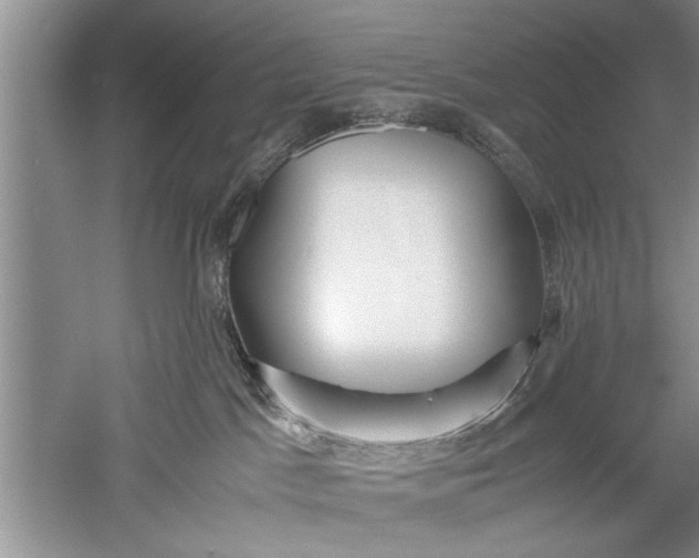 X0000052550045200507152211