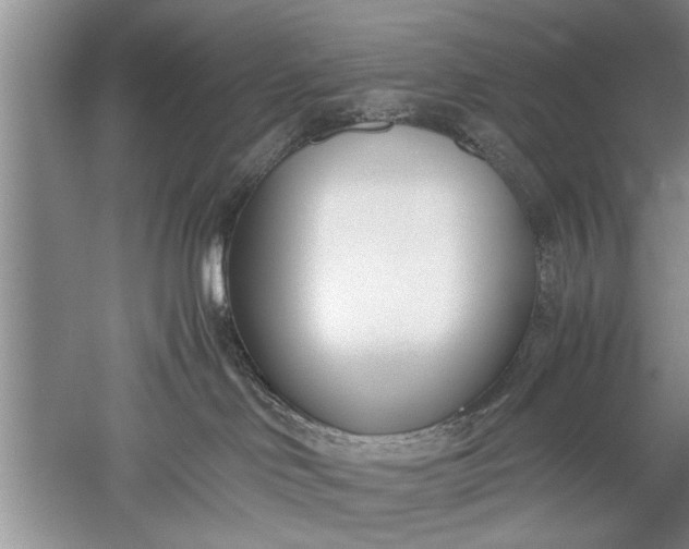 X0000052550046200507152211