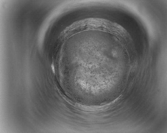 X0000052550047200507152211