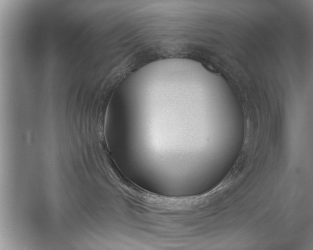 X0000052550048200507152211