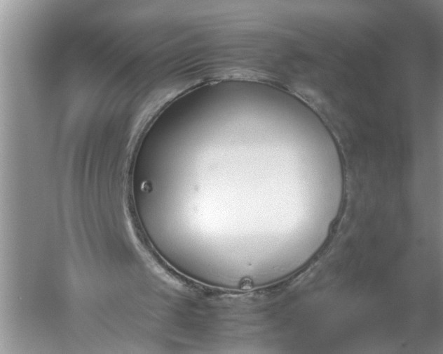 X0000052550049200507152210