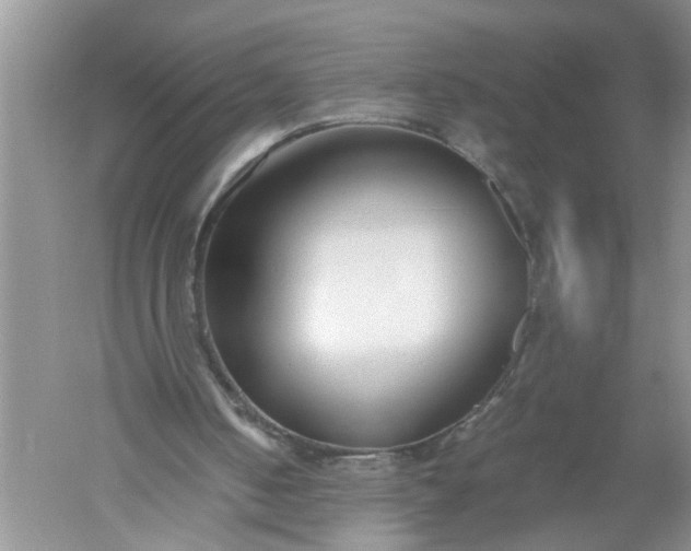 X0000052550050200507152210