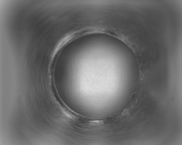 X0000052550053200507152210